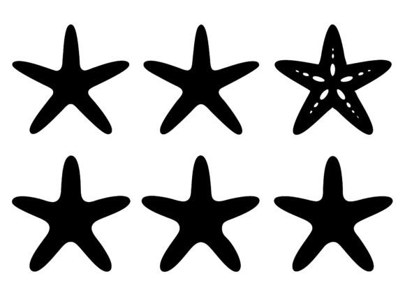 Download Starfish SVG Bundle Starfish Silhouettes - Svg bundle Collection