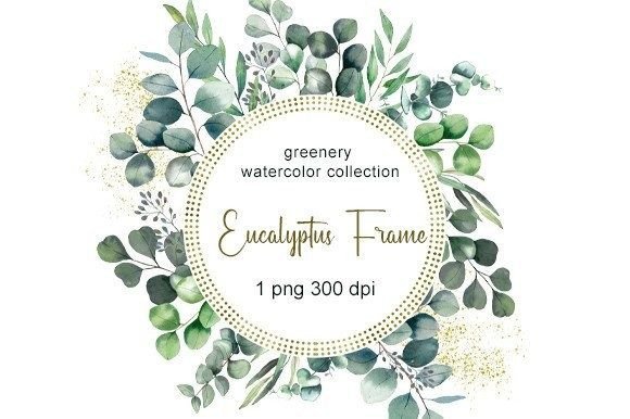 Download Eucalyptus Watercolor Clipart. Clipart - Premium Bundle