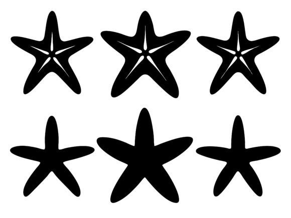 Download Starfish SVG Bundle Starfish Silhouettes - Svg bundle Collection