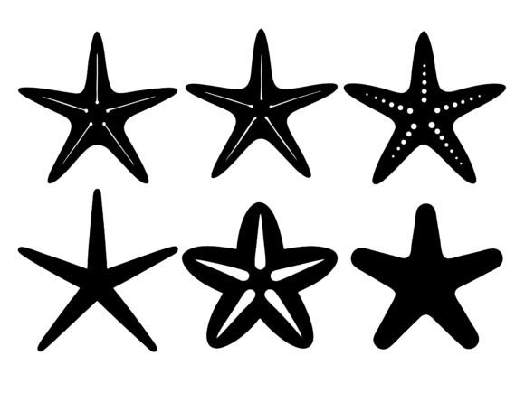 Download Starfish SVG Bundle Starfish Silhouettes - Svg bundle Collection