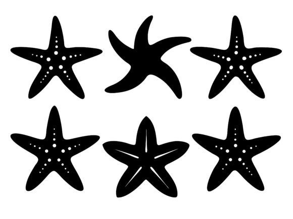 Download Starfish SVG Bundle Starfish Silhouettes - Svg bundle Collection