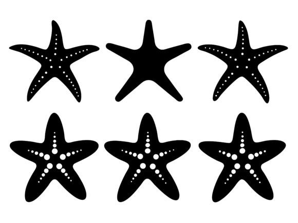 Download Starfish SVG Bundle Starfish Silhouettes - Svg bundle Collection