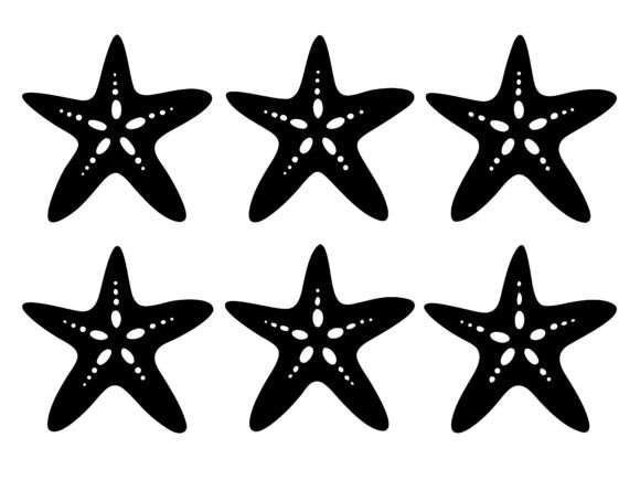 Download Starfish SVG Bundle Starfish Silhouettes - Svg bundle Collection