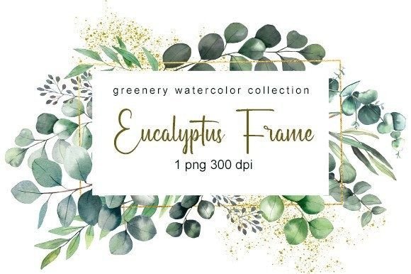 Download Eucalyptus Watercolor Clipart. Png - Premium Bundle